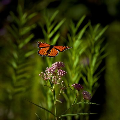 Lost Canyon Cave and Nature Trail by null