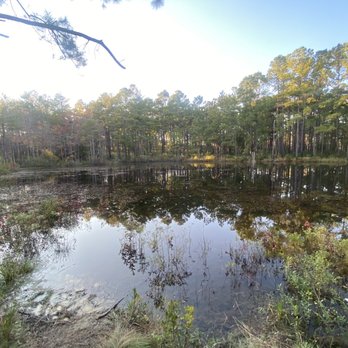 Carvers Creek State Park - Pond - Hiking Near Me - Spring Lake, North Carolina Carvers Creek State Park - Pond - Hiking Near Me - Spring Lake, North Carolina