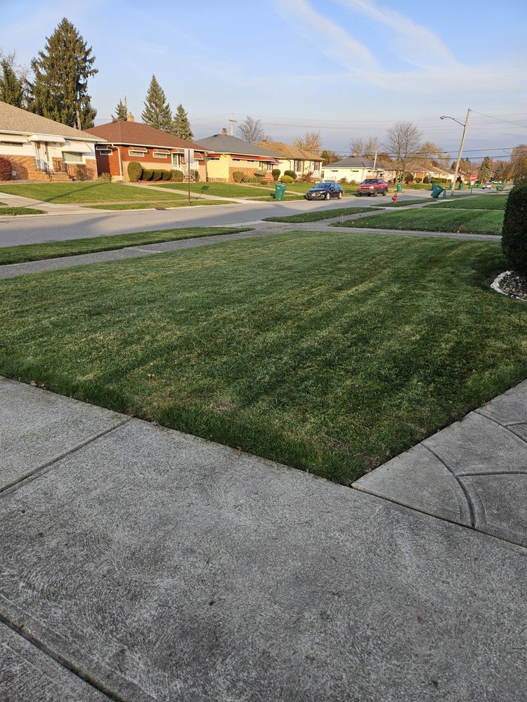 All Purpose - tree service in Cleveland, OH