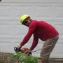 Photo of Rivas Tree Service