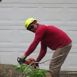 Rivas Tree Service - If you have a tree that has become a liability, it is time to get it removed.