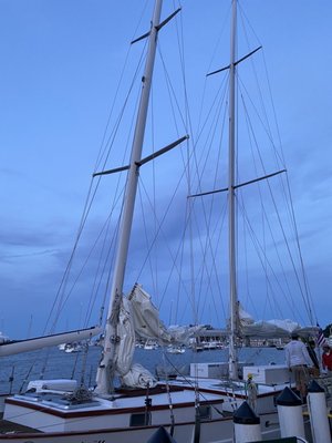 Schooner Woodwind Sailing Cruises by null