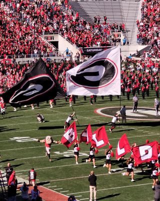 Sanford Stadium by null