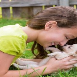 Advanced Allergy & Asthma Care- Westchase