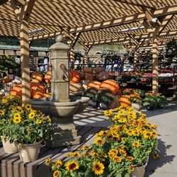 Armstrong Garden Centers