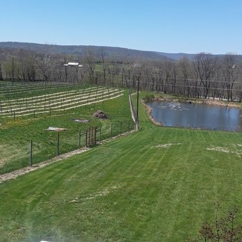 Sunset Hills Vineyard - Wineries Near Me - Purcellville, Virginia Sunset Hills Vineyard - Wineries Near Me - Purcellville, Virginia