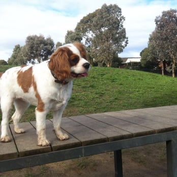Aranga Reserve Dog Activity Park - Dog Parks Near Me - Donvale, VIC Aranga Reserve Dog Activity Park - Dog Parks Near Me - Donvale, VIC