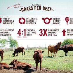Longevity Meats - Our premium beef is from local AZ farmers, grass fed AND grass finished!