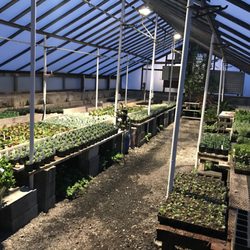 Spring Valley Nurseries