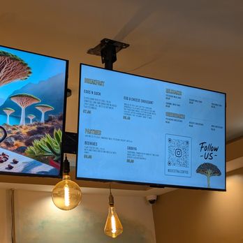 Socotra - Cafes Near Me - Lackawanna, New York Socotra - Cafes Near Me - Lackawanna, New York