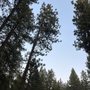 Winchester State Park