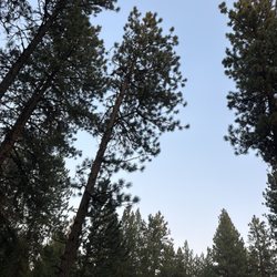 Winchester State Park