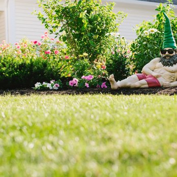 Lawn Doctor - a gnome sitting in the garden - Lawn Services Near Me Lawn Doctor - a gnome sitting in the garden - Lawn Services Near Me