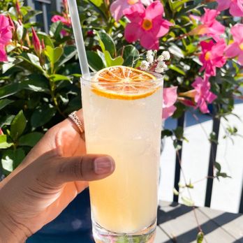 Rome + Fig - Earl Grey Tom Collins - Seafood Near Me - Tampa, Florida Rome + Fig - Earl Grey Tom Collins - Seafood Near Me - Tampa, Florida
