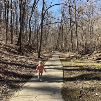Tulip Tree Trail - Hiking Near Me - Louisville, Kentucky Tulip Tree Trail - Hiking Near Me - Louisville, Kentucky