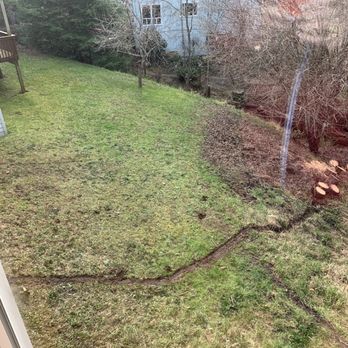Peak Tree Care - RESULT! - Tree Services Near Me