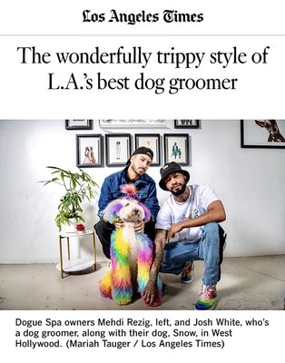 Dogue Spa - The Coolest Dog Grooming Salon by null