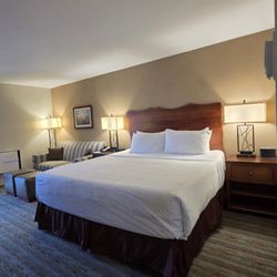 Rm 505: Wellness Executive Room - King Bed & Sleeper Sofa 11-27-2025