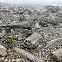 Cape Elizabeth beach