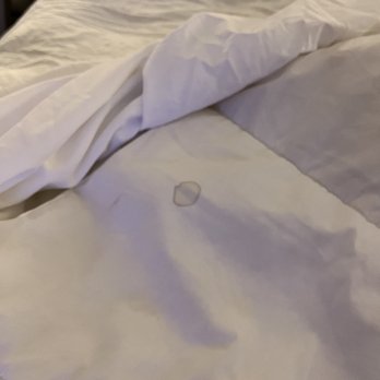 Crowne Plaza Melbourne - Oceanfront by IHG - Bed sheets - Hotels Near Me - Melbourne, Florida