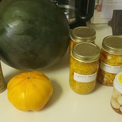 The Garden Spot - What a haul, never seen yellow tomatoes this big.