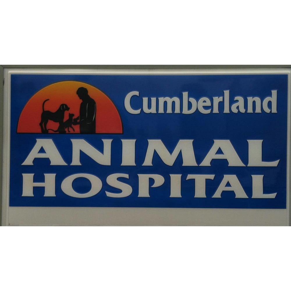CUMBERLAND ANIMAL HOSPITAL Veterinarians 1775 Pamalee Dr, Fayetteville, NC Phone Number Yelp