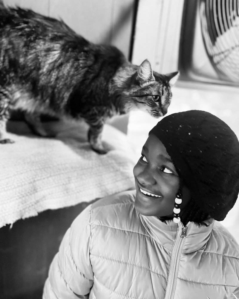 HORTON’S PET HAVEN Updated June 2024 44 Photos Stockbridge