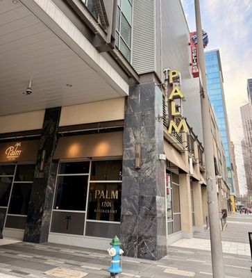 The Palm - Downtown Houston by null