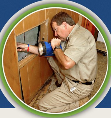 Pest Pro on Yelp