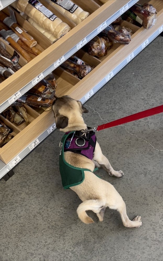 PETSMART Pet Groomers 2675 Geary Blvd, San Francisco, CA Phone Number