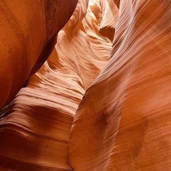 Taadidiin Tours - Walking Tours Near Me - Page, Arizona Taadidiin Tours - Walking Tours Near Me - Page, Arizona