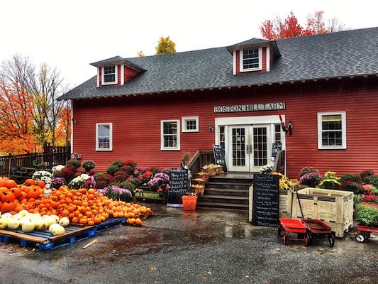 Boston Hill Farm by null
