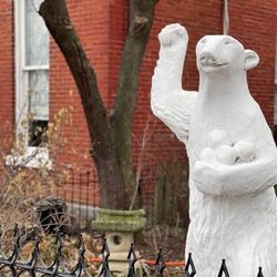 Edgehill Polar Bears