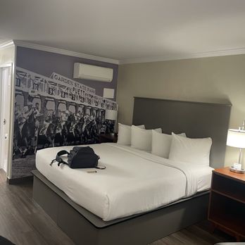 Equus Inn - Comfy bed - Hotels Near Me - Ocala, Florida Equus Inn - Comfy bed - Hotels Near Me - Ocala, Florida
