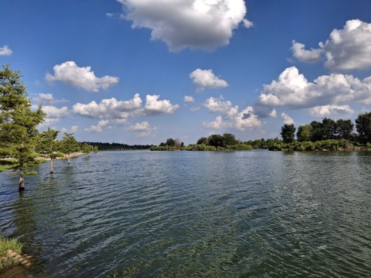 Shelby Farms Park by null