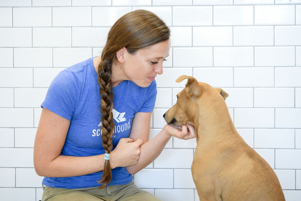 SCENTHOUND Updated October 2024 25 Photos & 12 Reviews 1401 Doug