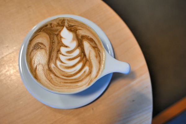 Olympia Coffee Roasting by null
