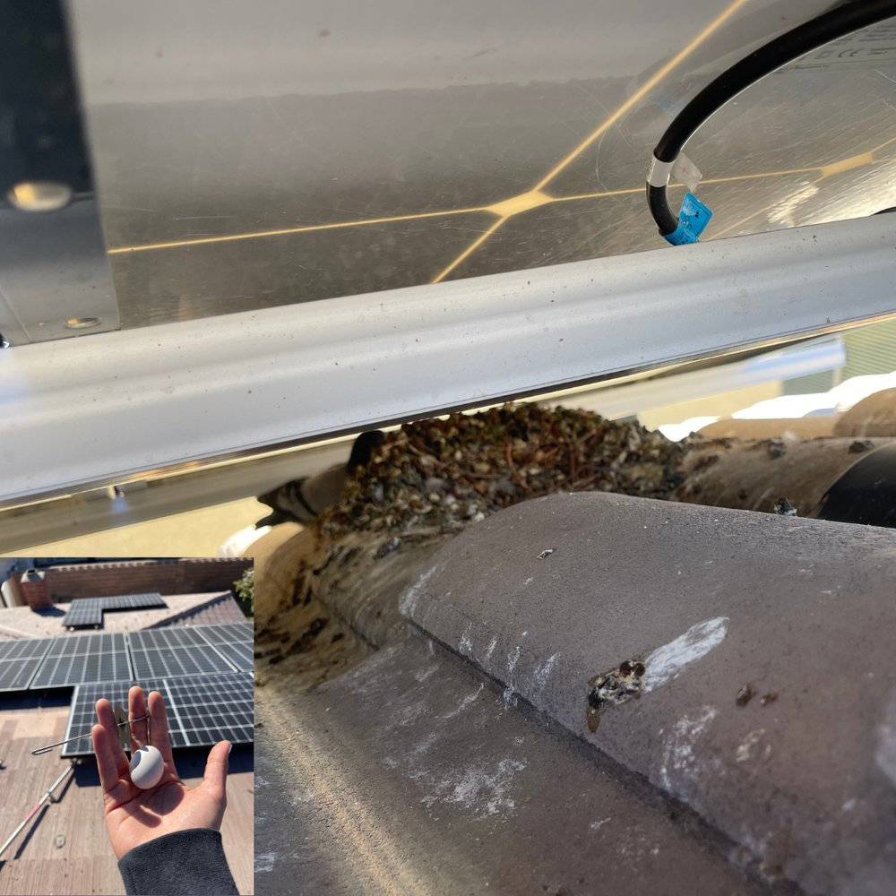 IJ’s Solar Services - veterans service organization in Las Vegas, NV