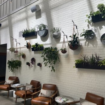 Sixty Vines - Decor - New American Near Me - Nashville, Tennessee Sixty Vines - Decor - New American Near Me - Nashville, Tennessee