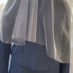 Veil