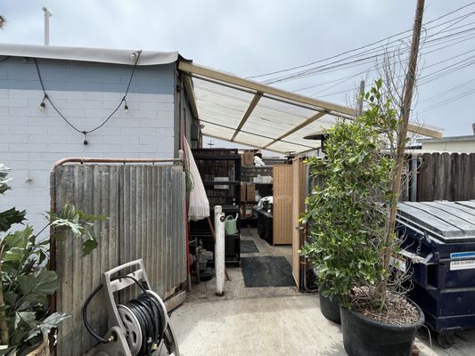 Little Lion Cafe by null