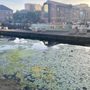 Photo of Granary Wharf