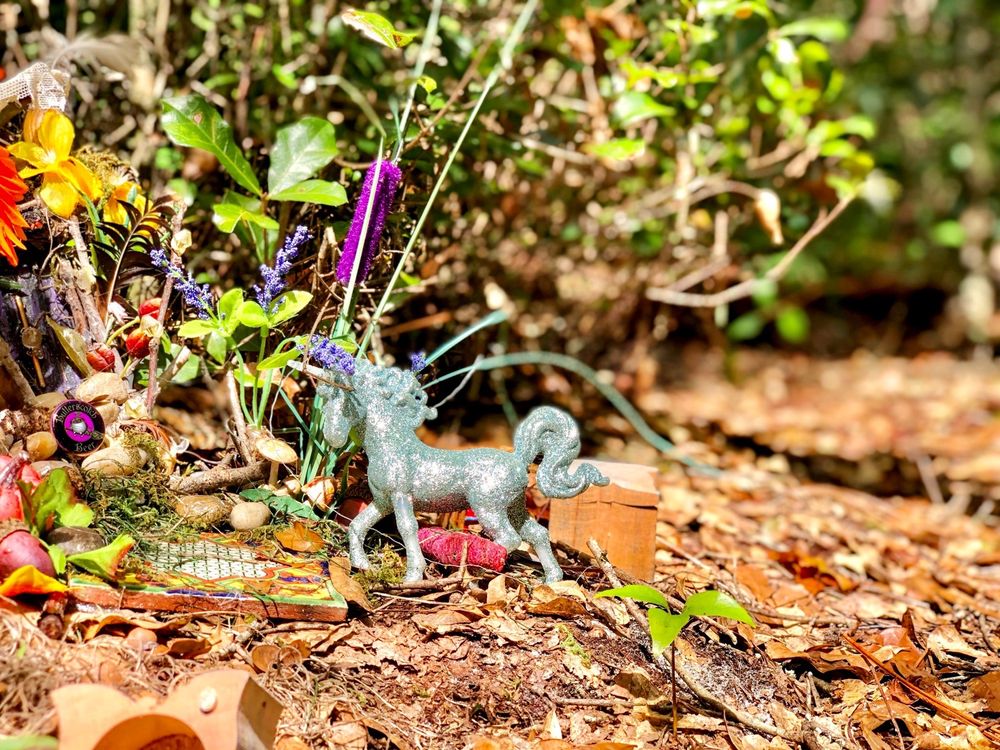 Horseshoe Park And Fairy Trail Image