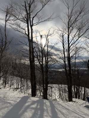 Timberline Mountain by null