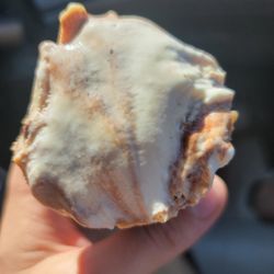 The Porch - Bake shop ice cream
