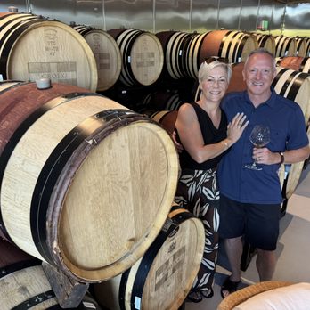 Randall's Wine Tours - Cheers! - Wine Tours Near Me - Sebastopol, California Randall's Wine Tours - Cheers! - Wine Tours Near Me - Sebastopol, California