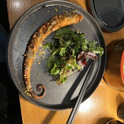 Shiki - Octopus March 2024