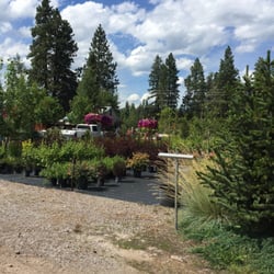 Columbia Nursery & Landscape