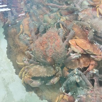 H.C. Seafood - Beautiful selection - Seafood Near Me - Oxnard, California
