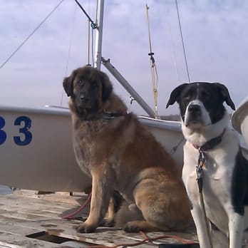 Diggers Dog Walking - We LOVE our walks around Lake Calhoun with Digger's! - Dog Walkers Near Me - Minneapolis, Minnesota Diggers Dog Walking - We LOVE our walks around Lake Calhoun with Digger's! - Dog Walkers Near Me - Minneapolis, Minnesota